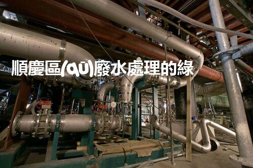 順慶區(qū)廢水處理的綠色革命！你明白其中的秘密嗎？